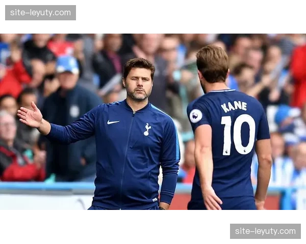 英格兰阵型实验 波切蒂诺三中卫体系面临大赛终极检验